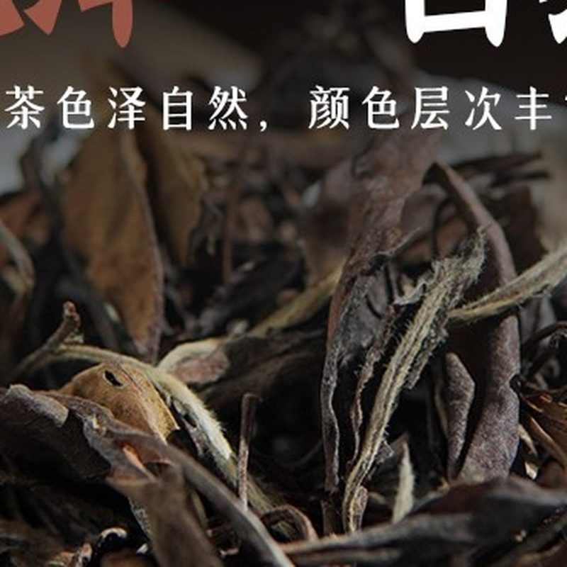 十年老白茶寿眉散茶 2015年可煮可焖500g 细节图2