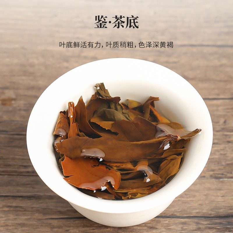 福鼎白茶春寿眉散茶 高山荒野枣香50克