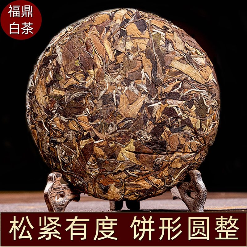 福鼎白茶老树高株茶饼 高山老寿眉枣香